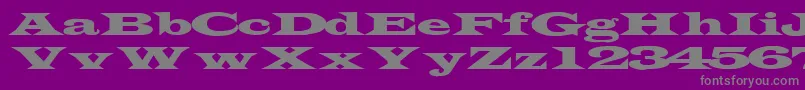 Fonte TransverseexpandedsskRegular – fontes cinzas em um fundo violeta