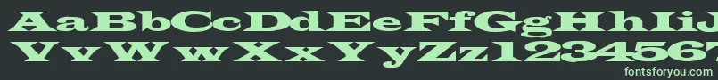 TransverseexpandedsskRegular Font – Green Fonts on Black Background