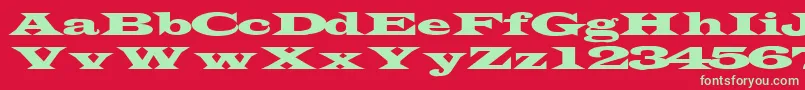 TransverseexpandedsskRegular Font – Green Fonts on Red Background