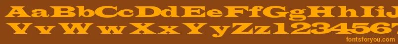 TransverseexpandedsskRegular Font – Orange Fonts on Brown Background