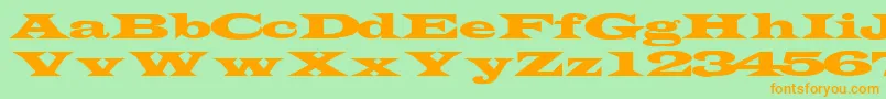 TransverseexpandedsskRegular Font – Orange Fonts on Green Background