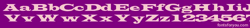 TransverseexpandedsskRegular Font – Pink Fonts on Purple Background