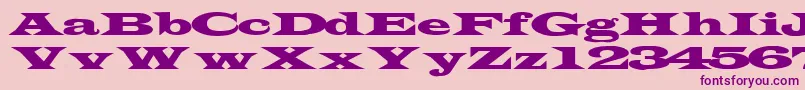 TransverseexpandedsskRegular Font – Purple Fonts on Pink Background