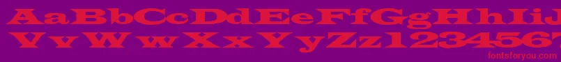 TransverseexpandedsskRegular Font – Red Fonts on Purple Background