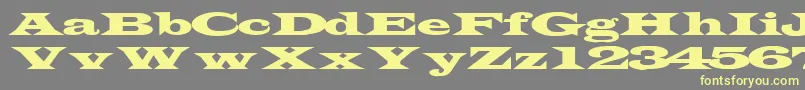 TransverseexpandedsskRegular Font – Yellow Fonts on Gray Background