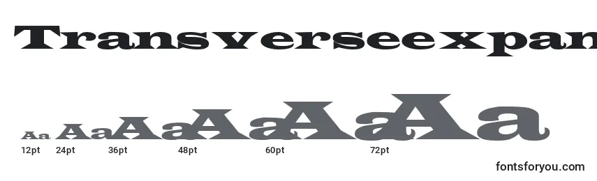 TransverseexpandedsskRegular Font Sizes