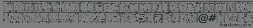 AGrotictitulcmdr Font – Black Fonts on Gray Background