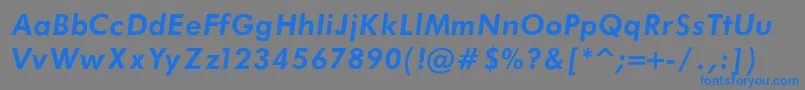 FuturaBookBoldItalicRegular Font – Blue Fonts on Gray Background