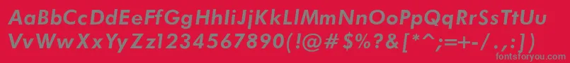 FuturaBookBoldItalicRegular Font – Gray Fonts on Red Background
