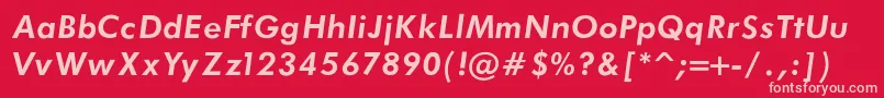 FuturaBookBoldItalicRegular Font – Pink Fonts on Red Background