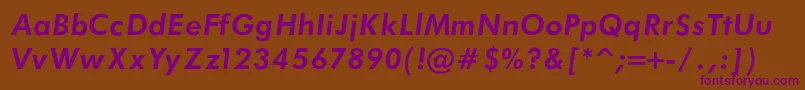 FuturaBookBoldItalicRegular Font – Purple Fonts on Brown Background