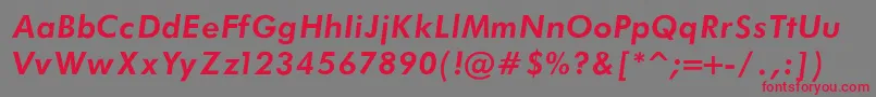 FuturaBookBoldItalicRegular Font – Red Fonts on Gray Background