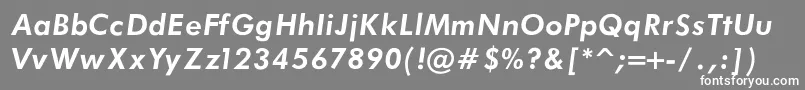 FuturaBookBoldItalicRegular Font – White Fonts on Gray Background