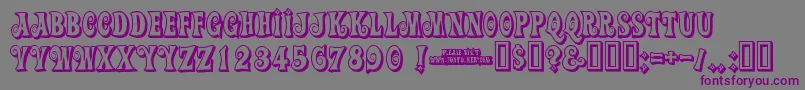ActionIsShadedJl Font – Purple Fonts on Gray Background
