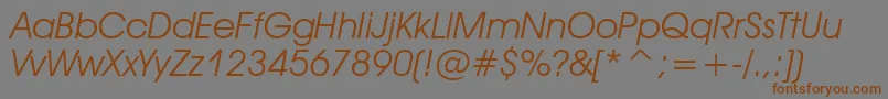 Tt0155m Font – Brown Fonts on Gray Background