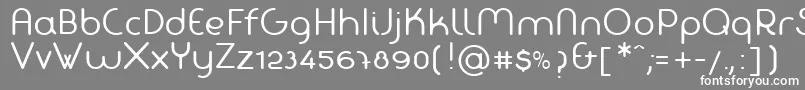 フォントFabadaRegular – 灰色の背景に白い文字