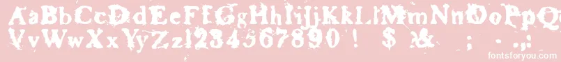 BasketcaseRoman Font – White Fonts on Pink Background