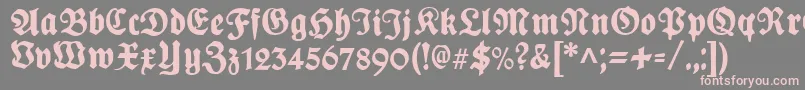 PlakatFrakturunz1l Font – Pink Fonts on Gray Background