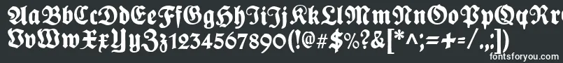 Шрифт PlakatFrakturunz1l – белые шрифты