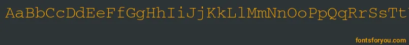 フォントCourierttt – 黒い背景にオレンジの文字