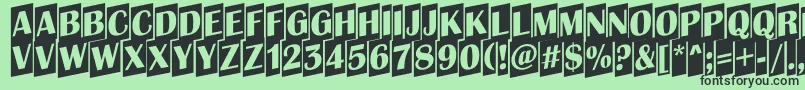 AAlbionictitulcmup Font – Black Fonts on Green Background