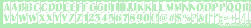 AAlbionictitulcmup Font – White Fonts on Green Background