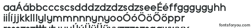 TypoGroteskBoldDemo-fontti – unkarilaiset fontit
