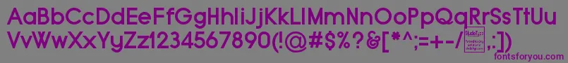 TypoGroteskBoldDemo Font – Purple Fonts on Gray Background