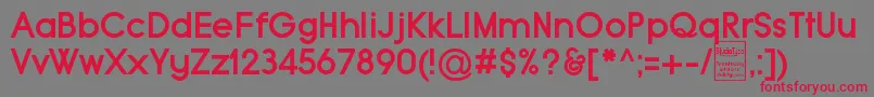 TypoGroteskBoldDemo Font – Red Fonts on Gray Background