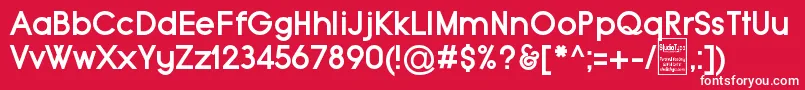 TypoGroteskBoldDemo Font – White Fonts on Red Background