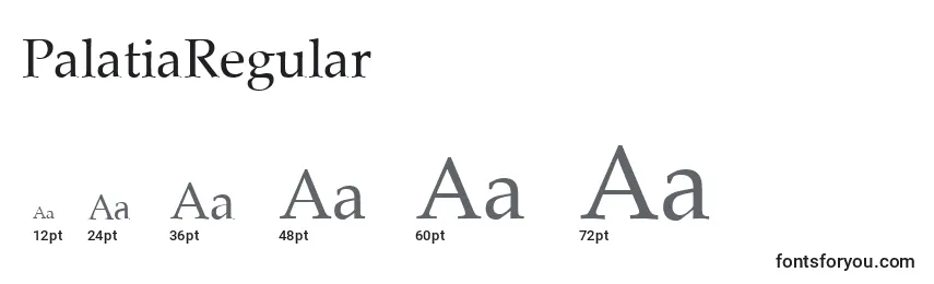 Размеры шрифта PalatiaRegular