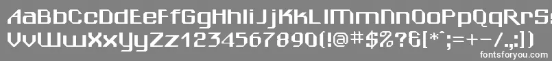 フォントSheilaRegular – 灰色の背景に白い文字