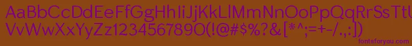 SkirtltRegular Font – Purple Fonts on Brown Background