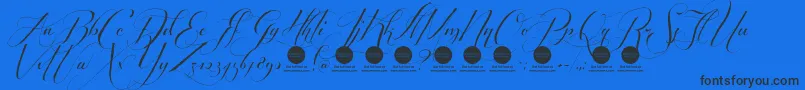 PersonaluseShippedgoods2 Font – Black Fonts on Blue Background