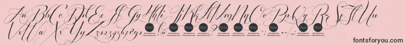 PersonaluseShippedgoods2 Font – Black Fonts on Pink Background