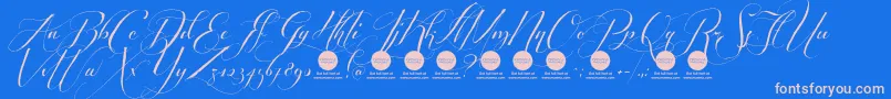 PersonaluseShippedgoods2 Font – Pink Fonts on Blue Background