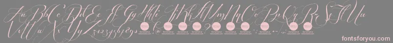 PersonaluseShippedgoods2 Font – Pink Fonts on Gray Background