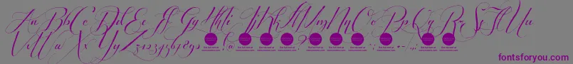 Шрифт PersonaluseShippedgoods2 – фиолетовые шрифты на сером фоне