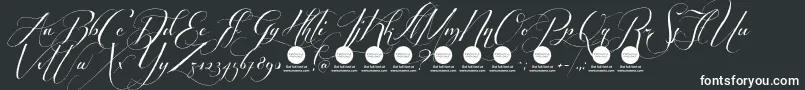 PersonaluseShippedgoods2 Font – White Fonts on Black Background