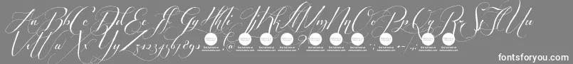 PersonaluseShippedgoods2 Font – White Fonts on Gray Background