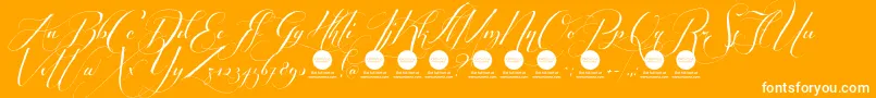 PersonaluseShippedgoods2 Font – White Fonts on Orange Background