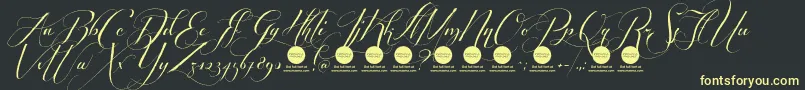 PersonaluseShippedgoods2 Font – Yellow Fonts on Black Background