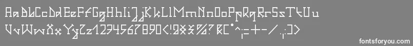 GotikaSerifaiA Font – White Fonts on Gray Background