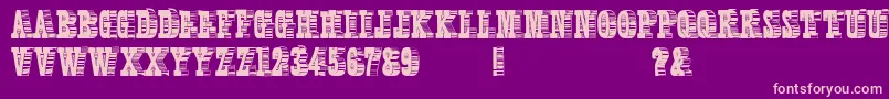 ShadyCharacters Font – Pink Fonts on Purple Background