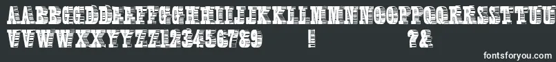 Шрифт ShadyCharacters – белые шрифты на чёрном фоне