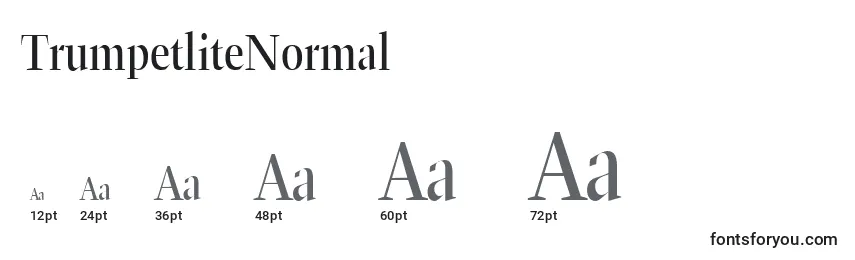 TrumpetliteNormal Font Sizes