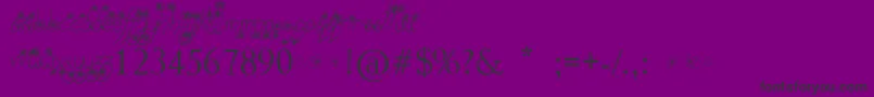 WayGardens Font – Black Fonts on Purple Background
