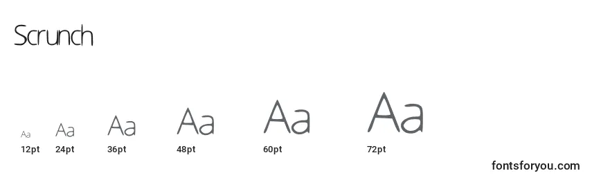 Scrunch Font Sizes