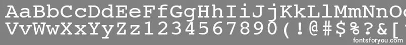 フォントNtcouriervkNormal110n – 灰色の背景に白い文字