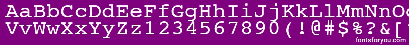 NtcouriervkNormal110n Font – White Fonts on Purple Background